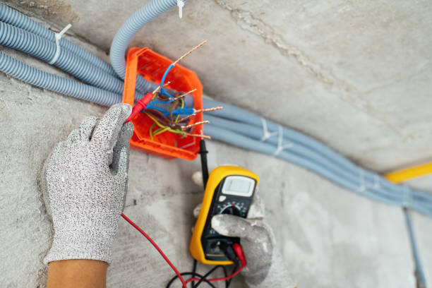 Best Electric Panel Repair  in Faison, NC